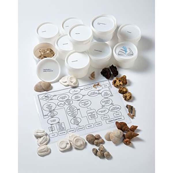Class Fossil Pack