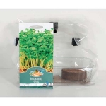 GroBox Window Garden - Mustard