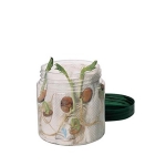 Laboratory Grade Seeds Barley