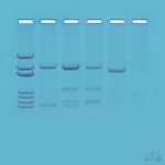 DNA Paternity Testing Simulation Kit