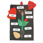 Plant In A Pocket - Wall Hanging