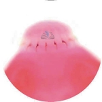 Prepared Microscope Slide - Planarian Worm T.S.