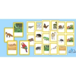 Animal Habitats Game