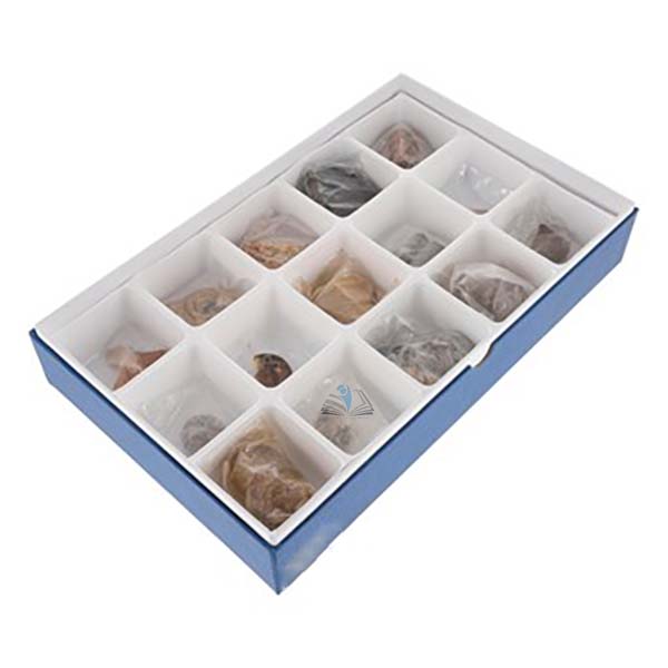 Fossil Set