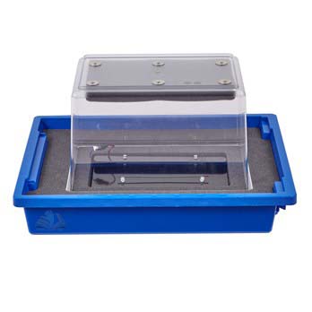 Cloud Chamber