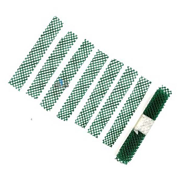 Drosophila Ladders